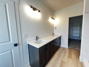 Bathroom featuring wood-type flooring and vanity