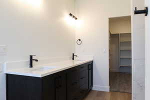 Bathroom featuring wood-type flooring and vanity