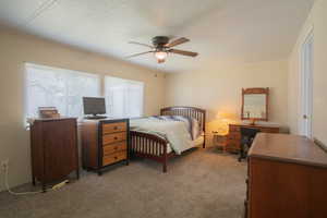 Carpeted Master bedroom featuring a ceiling fan