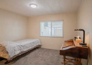 Bedroom with carpet floors