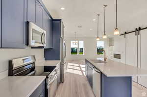 Kitchen featuring stainless steel appliances, an island with sink, sink, a barn door, and light hardwood / wood-style flooring