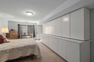 Built-in Cabinets Downstairs Bedroom