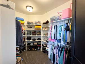 Walk in closet featuring carpet floors