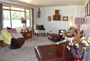 Living room featuring carpet floors and a textured ceiling