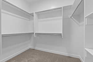 Spacious closet with carpet flooring