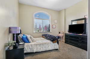 View of carpeted bedroom