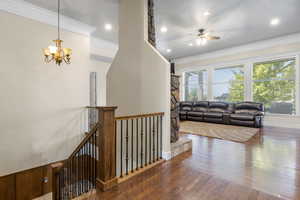 Living room featuring ceiling fan with notable chandelier, hardwood / wood-style floors, and ornamental molding