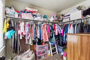 Walk in closet with carpet flooring