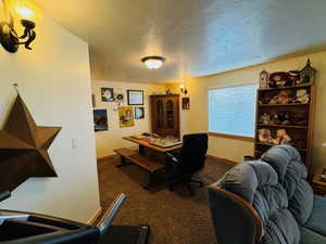 Lower level family room