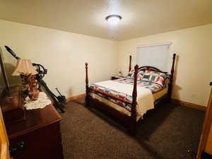 Lower level bedroom