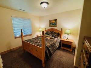 Lower level bedroom