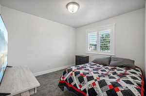 Bedroom featuring carpet floors