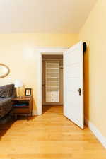 Closet with hardwood flooring and built-in organizer