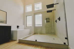 Bathroom with walk in shower, hardwood / wood-style flooring, and plenty of natural light