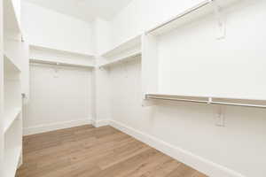 Walk in closet featuring light hardwood / wood-style flooring