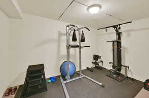 WORKOUT ROOM/DEN