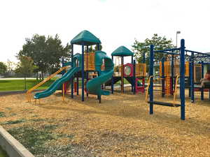 Neighborhood park play set