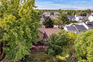 Aerial view of backyard. Mature trees for shade!