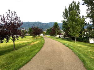 Neighborhood park with paved walking trail all the way around the park! **Dogs are allowed on leash**