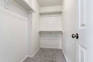 Walk in closet with carpet