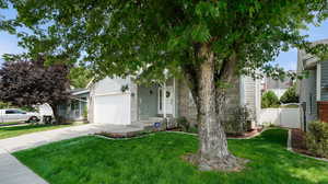 View of property hidden behind natural elements featuring a garage and a front yard