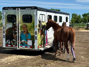 View of horse barn