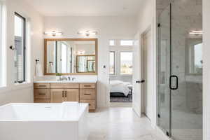 Bathroom with shower with separate bathtub and vanity