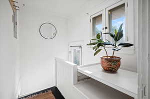 Back door entrance mudroom