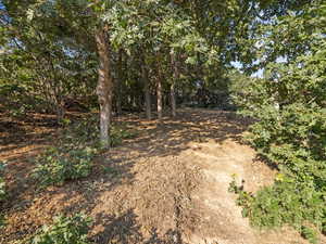 View of wooded lot