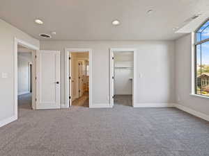 Bedroom featuring a spacious closet, new carpet, shared floors