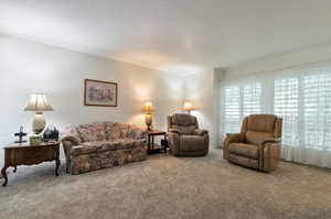 Living room featuring carpet