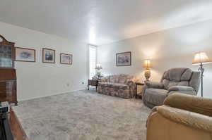 Living room with carpet