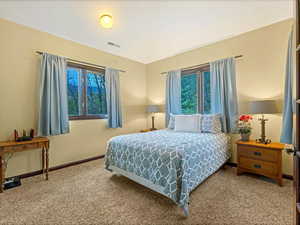 Bedroom with carpet flooring and multiple windows