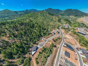 Birds eye view of property with a mountain view