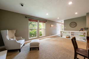 Interior space with carpet floors and a textured ceiling