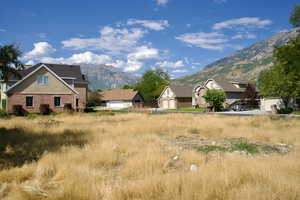 View of yard with a mountain view and a garage