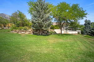 View of yard with a mountain view