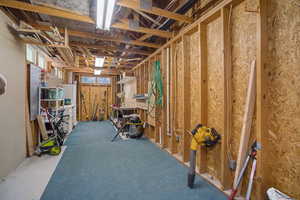 Storage behind garage