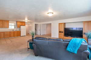 Carpeted living room featuring sink and a textured ceiling