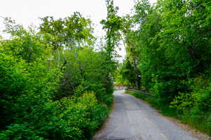 View of street