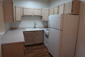 Kitchen featuring sink, light brown cabinets, dark wood-type flooring, and white appliances