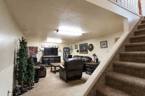 Carpeted living room with a textured ceiling