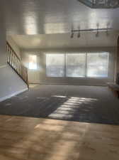 Beautiful new carpet and natural light