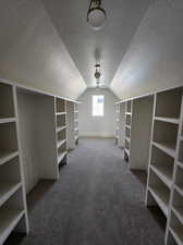 Spacious closet with carpet flooring and vaulted ceiling