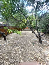 Fruit trees