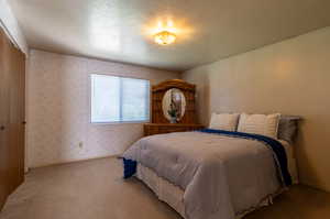 Bedroom featuring a textured ceiling, carpet flooring, and a closet