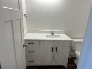 Bathroom featuring toilet, vanity, and wood-type flooring