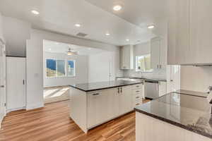 Kitchen with a healthy amount of sunlight, stainless steel dishwasher, light hardwood / wood-style flooring, and white cabinets