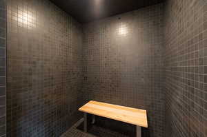 Sauna lower level