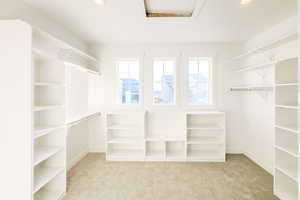 Spacious closet featuring light colored carpet